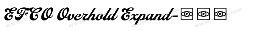 EFCO Overhold Expand字体转换